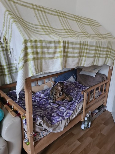 Baby time haus - time,