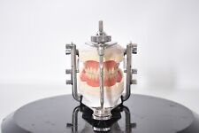 Condylator Gerber mod.6 Artikulator mit modell, Dental  ED1198