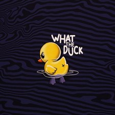 0,85m x 1,50m What the Duck