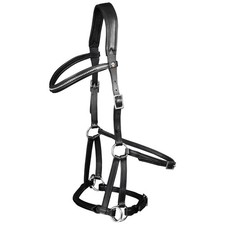 Waldhausen Schwarz Vollblut