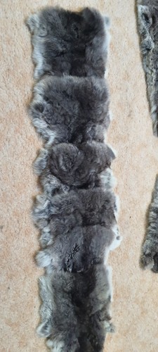 Chinchilla fellstücke sehr - chinchilla-fellstücke.,