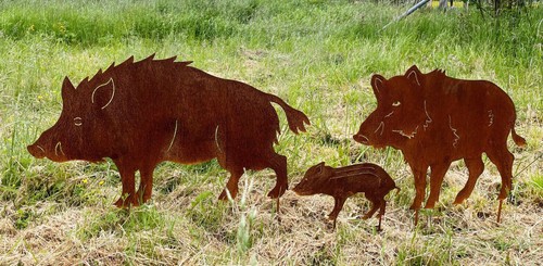 Frischling wildschwein familie - frischling,