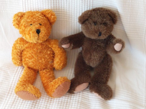 Sunkid bärchen mit kumpel - bärchen,
