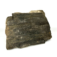☆Versteinertes Holz aus Indonesien Java ☆ 940g | 9 x 12cm☆