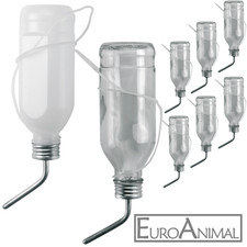 Kaninchen Meerschweinchen