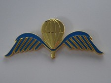 A25-16) Badge