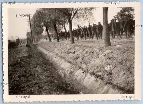 Polen feldzug 1939 xvi - polen,