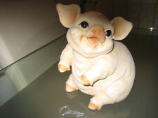 Formano lustiges Sparschweinchen für Kinder u Sparer 16 cm groß