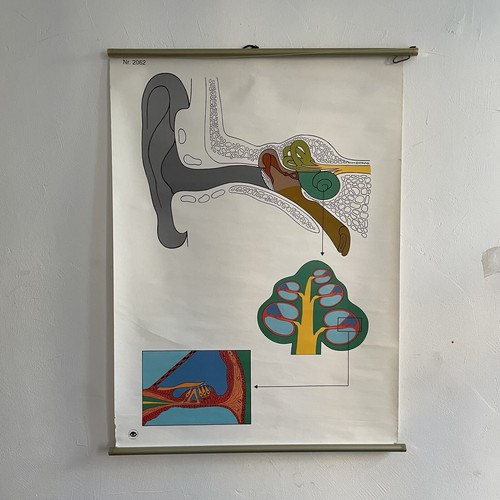 Schulwandkarte lehrkarte ddr - schulwandkarte,