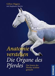 Anatomie verstehen die - -,