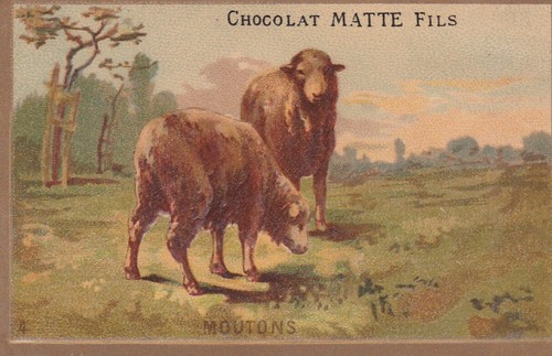 L22 chromo chocolate matt - ,