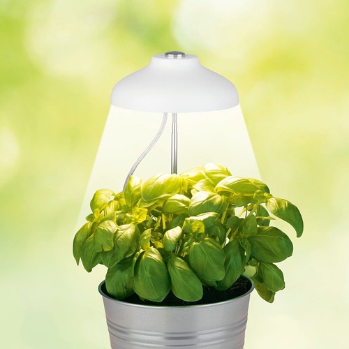 Led teleskop pflanzenleuchte - led, teleskop-pflanzenleuchte