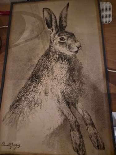 Zeichnung hase gerahmt - hase,