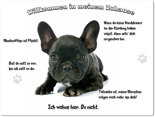 Warnschild 20x30cm - warnschild,