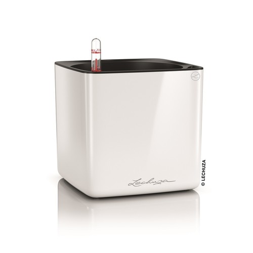 Lechuza cube glossy - cube, 16