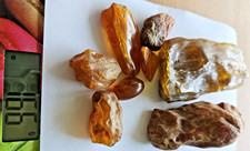 Natur Bernstein Konvolut 166 Gramm / Amber Baltic / Zugabe 2 Stück mit Fossilien
