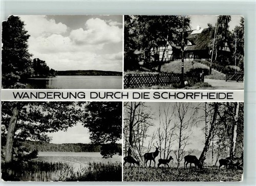 10425600 1304 joachimsthal - -,