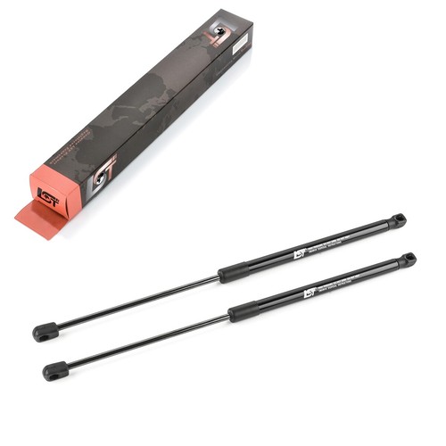 Gasfeder - 2x,