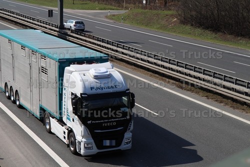 Lkw foto iveco tiertransport - lkw,