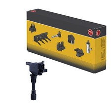 Zündspule mit 2 Eingängen