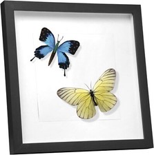 EUGAD Bilderrahmen Fotogalerie