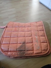 Schrabracke(WB) + Passende Bandagen(WB)