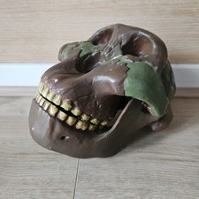 Somso Oldoway Mann Paranthropus Schädel Museum Anatomie Anthropologie Modell Vintage