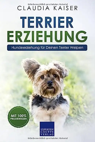 Terrier erziehung - terrier,