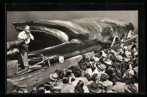Foto der wal jonah - der,