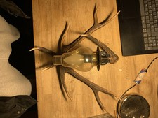 Hirschgeweih lampe Flurlampe Lampe aus den 70ern Meisterjäger Jägermeister