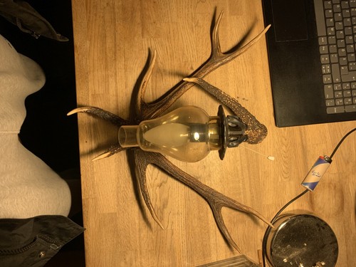 Hirschgeweih lampe flurlampe - hirschgeweih,
