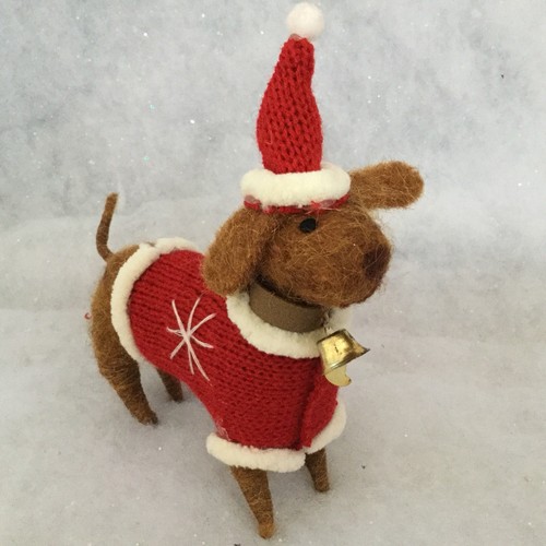 Brauner hund roten pullover - hund,