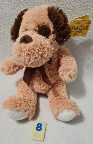 Süßer sunkid hund - süßer,
