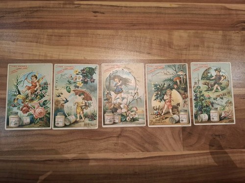 Sammelbilder liebig - sammelbilder,