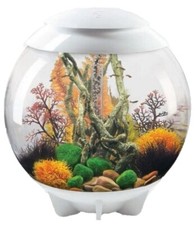 Oase BiOrb Decor Rezept 61102