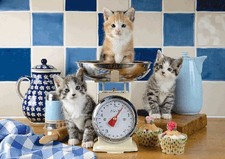Puzzle (500 T.) Katzen in der