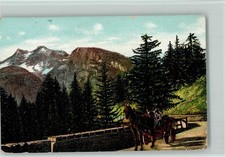 12102011 - Bauernwagen in den Bergen AK Kutsche 1908