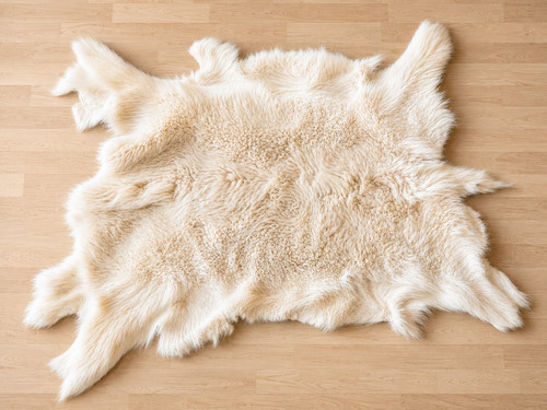 Wunderschönes schneeziegen - wunderschönes,