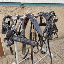 Top  Leder Zweispänner  Geschirr  Shetty Schwarz 