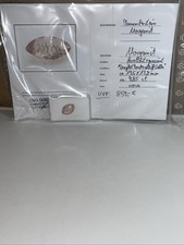 Morganit Stein, 9.85 ct, facettiert + graviert, Druglat Sonderschliff Calla,rosa