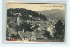 Zella blasii - zella, st.