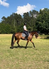 2023 Prestige Passion K