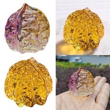 Walnussschale Handwerk Glas