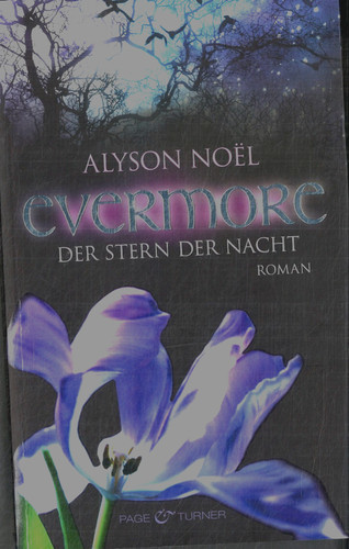 Evermore der stern - evermore, nacht