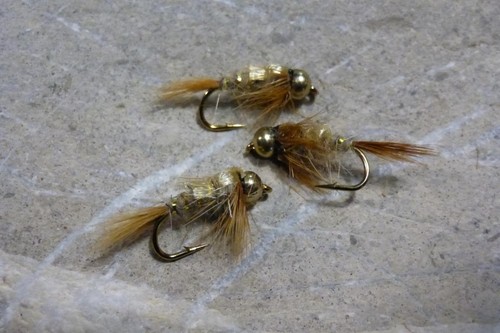 Goldkopf marchbrown - 4,