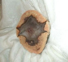 Achat ~~ Sternachat ~~