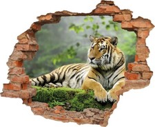 Wandtattoo Tiger in der Wildnis - verschiedene Rahmentypen DW000153