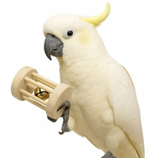 Papageienspielzeug aus Holz