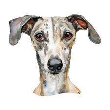Designer Aufkleber / Sticker Fotosticker - Hunde -  Windhund Galgo Espanol 01