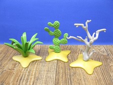 Kaktus, kahler Baum & Agave